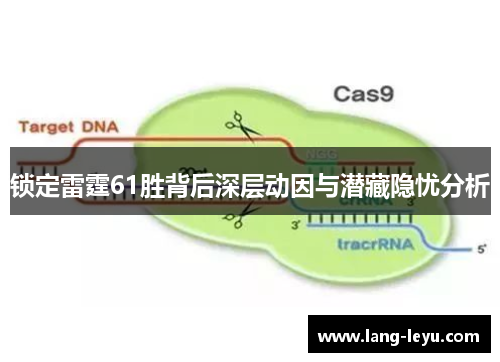 锁定雷霆61胜背后深层动因与潜藏隐忧分析