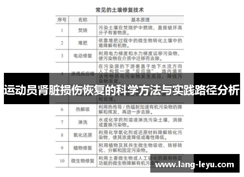 运动员肾脏损伤恢复的科学方法与实践路径分析 运动员肾脏损伤恢复的科学方法与实践路径分析